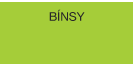 BÍNSY